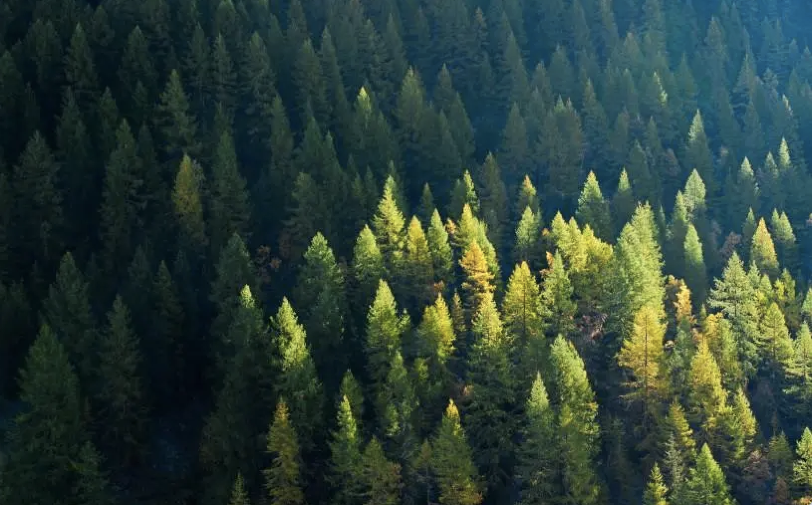 Building the future together